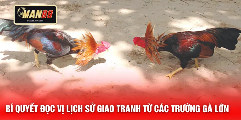 Bí quyết đọc vị lịch sử giao tranh từ các trường gà lớn 
