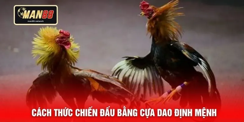 Cách thức chiến đấu bằng cựa dao định mệnh