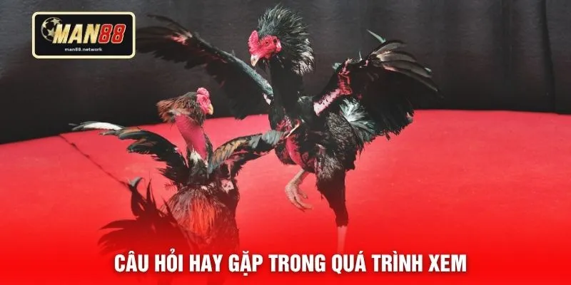 Câu hỏi hay gặp trong quá trình xem