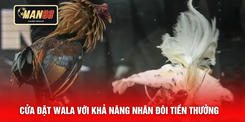 Cửa đặt Wala với khả năng nhân đôi tiền thưởng
