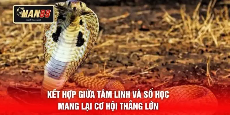 Kết hợp giữa tâm linh và số học mang lại cơ hội thắng lớn