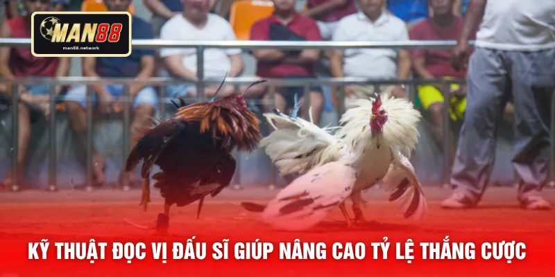 Kỹ thuật đọc vị đấu sĩ giúp nâng cao tỷ lệ thắng cược