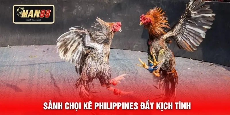 Sảnh chọi kê Philippines đầy kịch tính