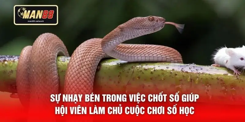 Sự nhạy bén trong việc chốt số giúp hội viên làm chủ cuộc chơi số học