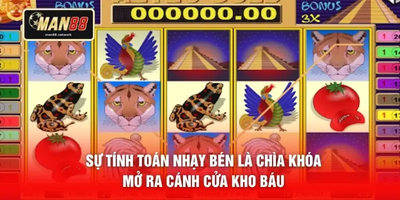 Sự tính toán nhạy bén là chìa khóa mở ra cánh cửa kho báu