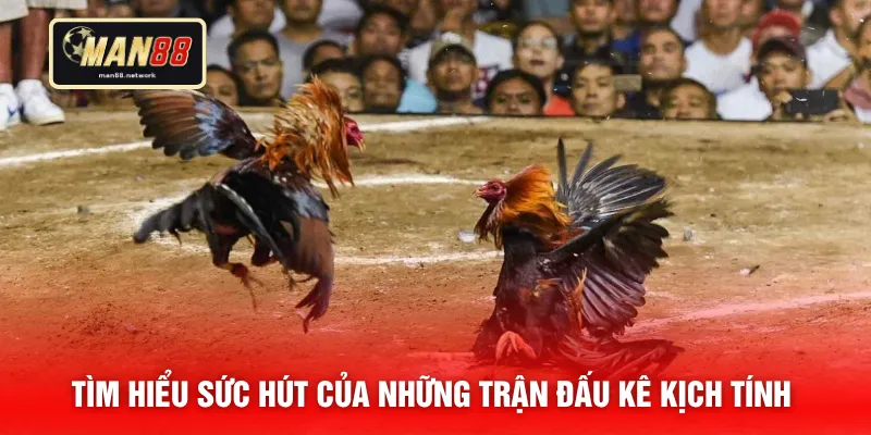 Tìm hiểu sức hút của những trận đấu kê kịch tính 