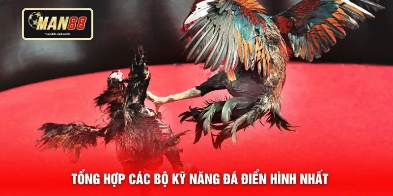 Tổng hợp các bộ kỹ năng đá điển hình nhất